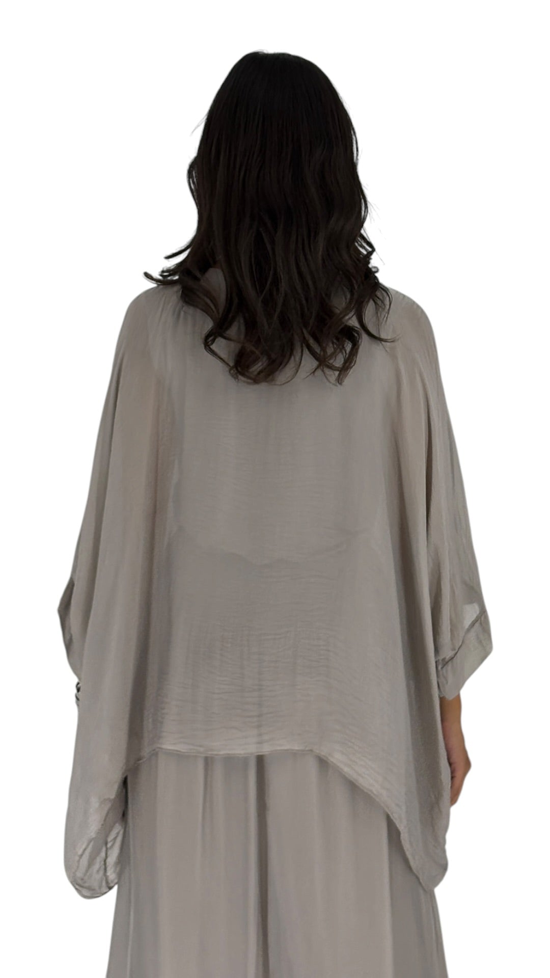 Alyas Taupe Top