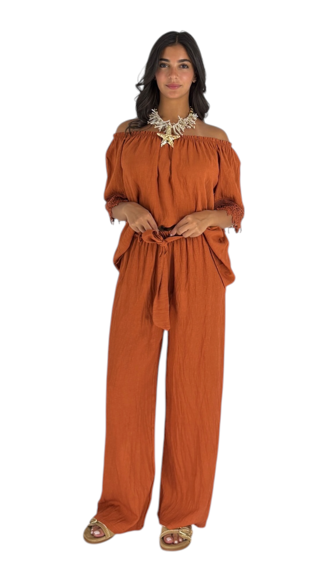 Liz Terracotta Pants