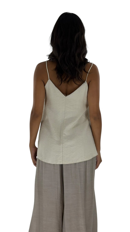 Rohi Beige Top