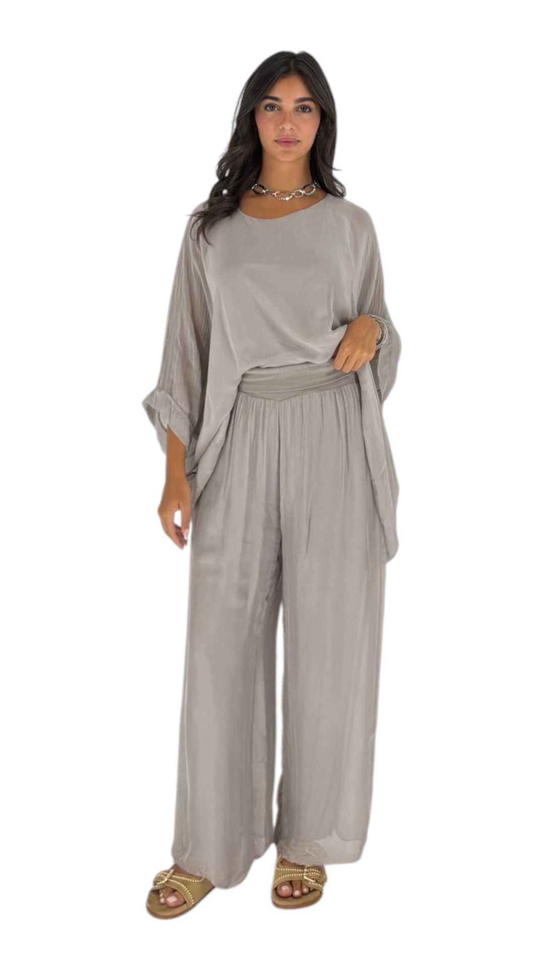 Alyas Taupe Pants