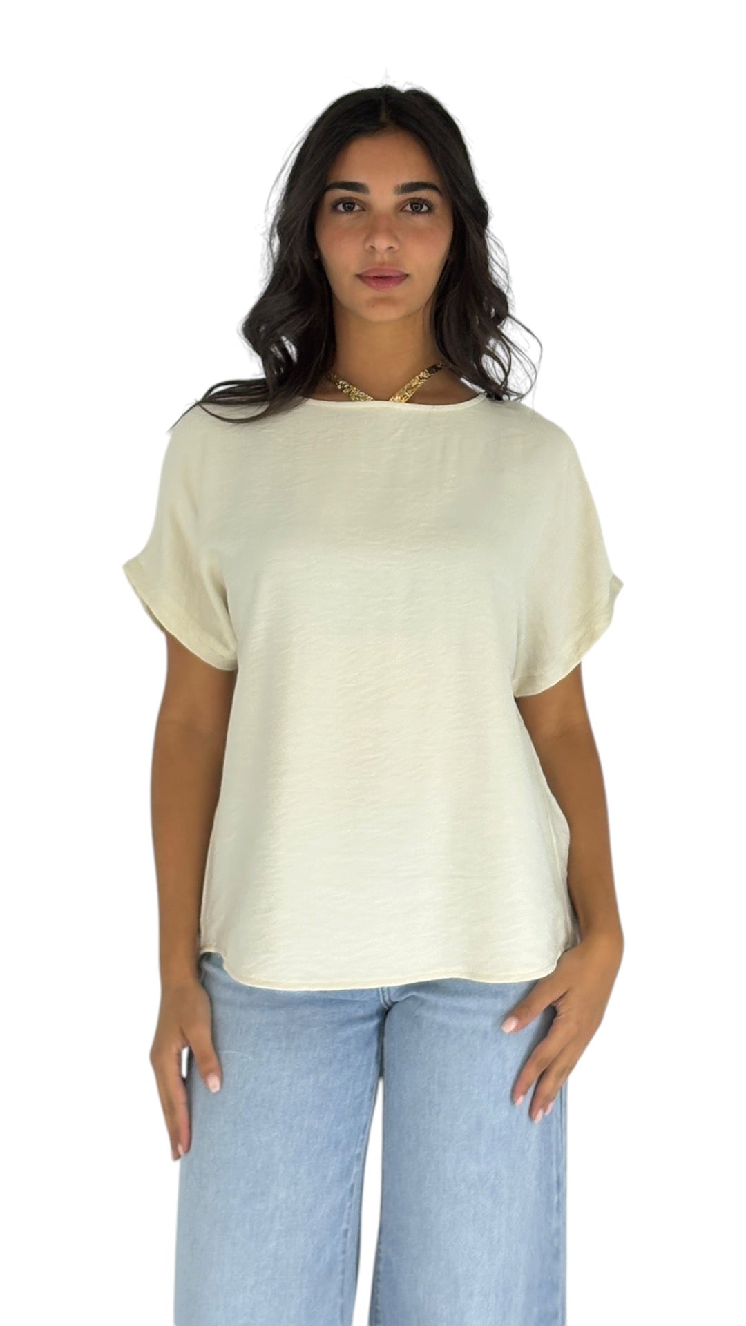 Poem Beige Top