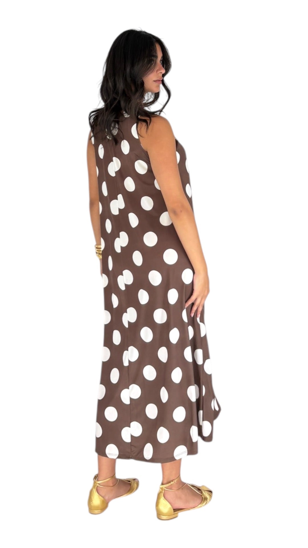 Polina Brown Dress
