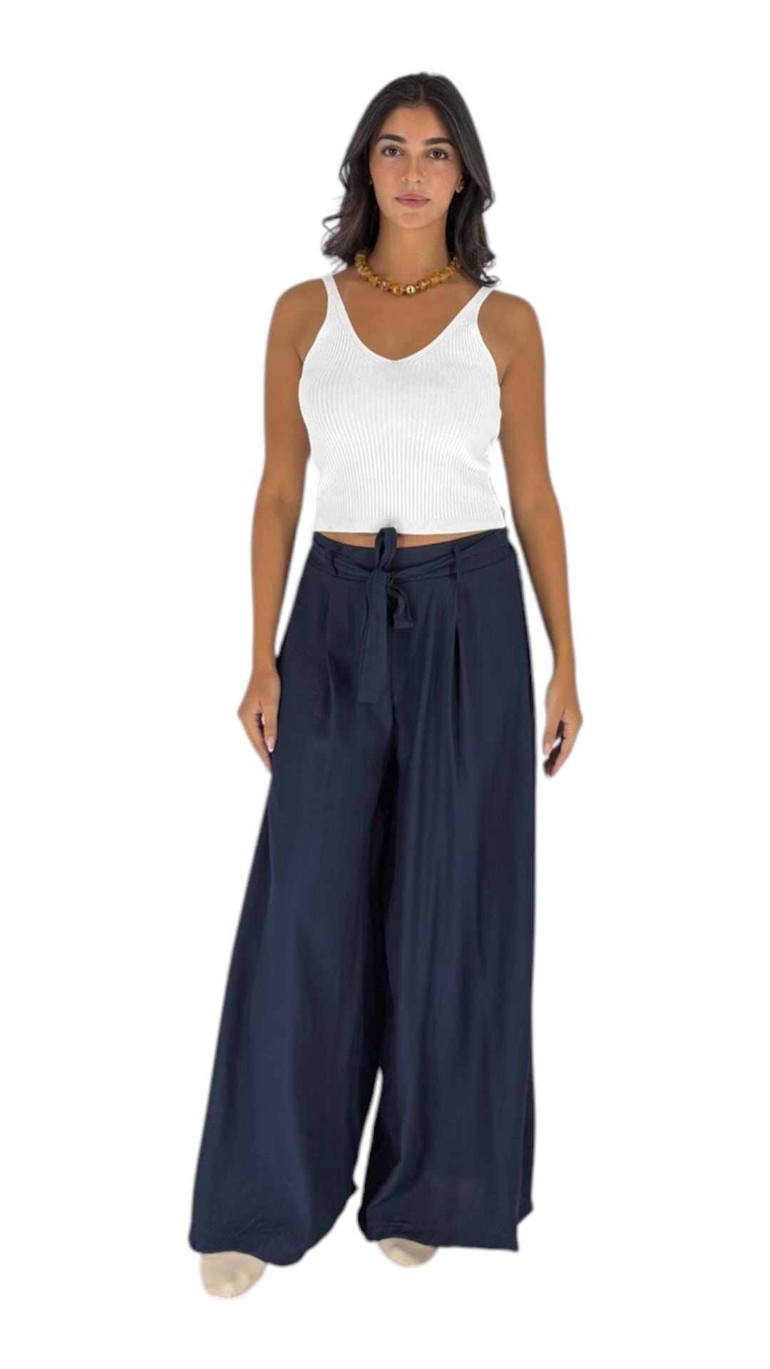 Cina Navy Pants