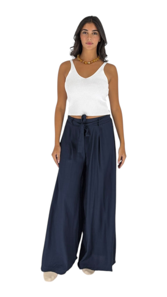 Cina Navy Pants