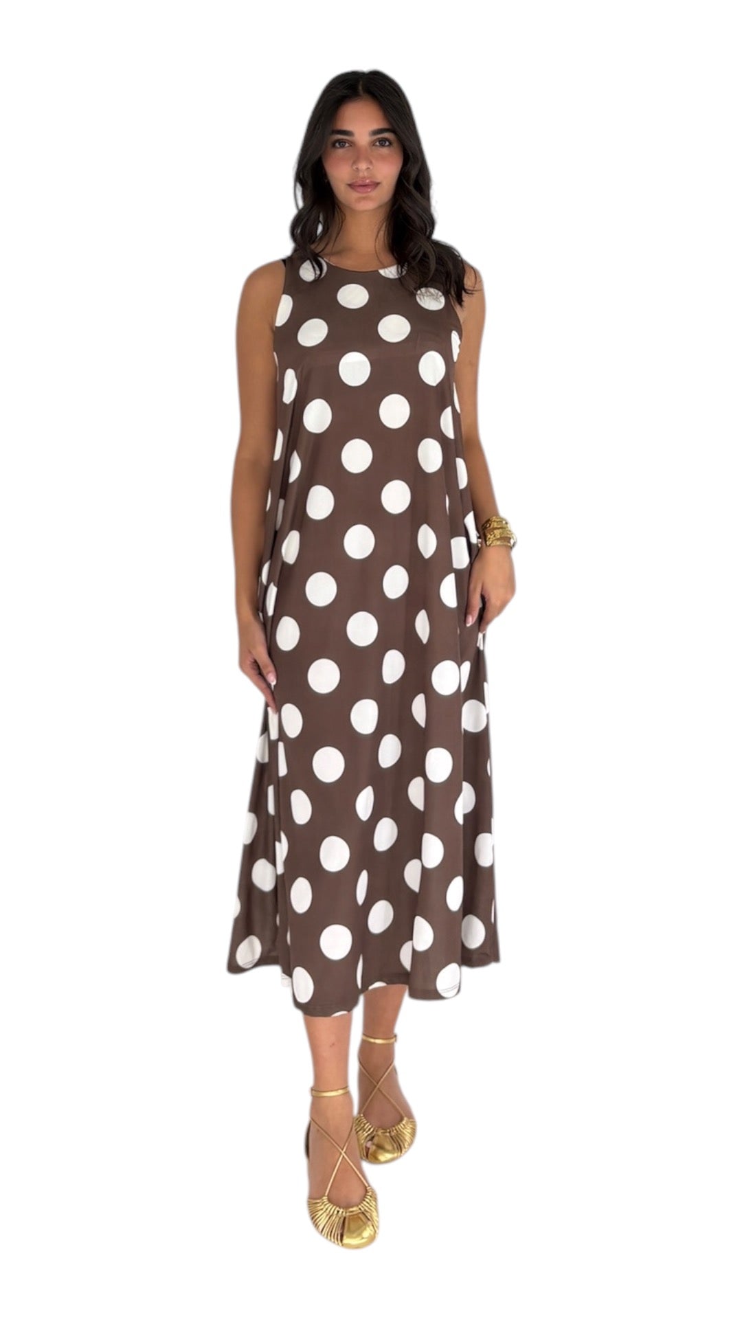 Polina Brown Dress