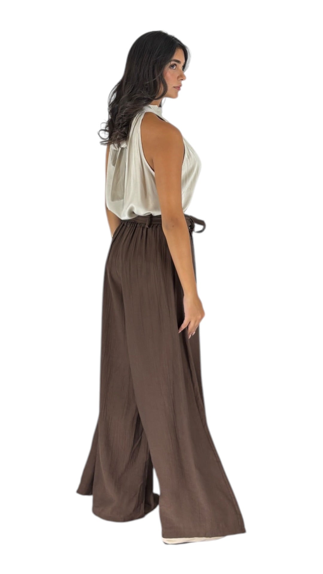 Cina Brown Pants