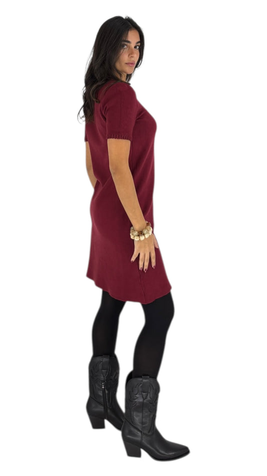 Dania Maroon Dress