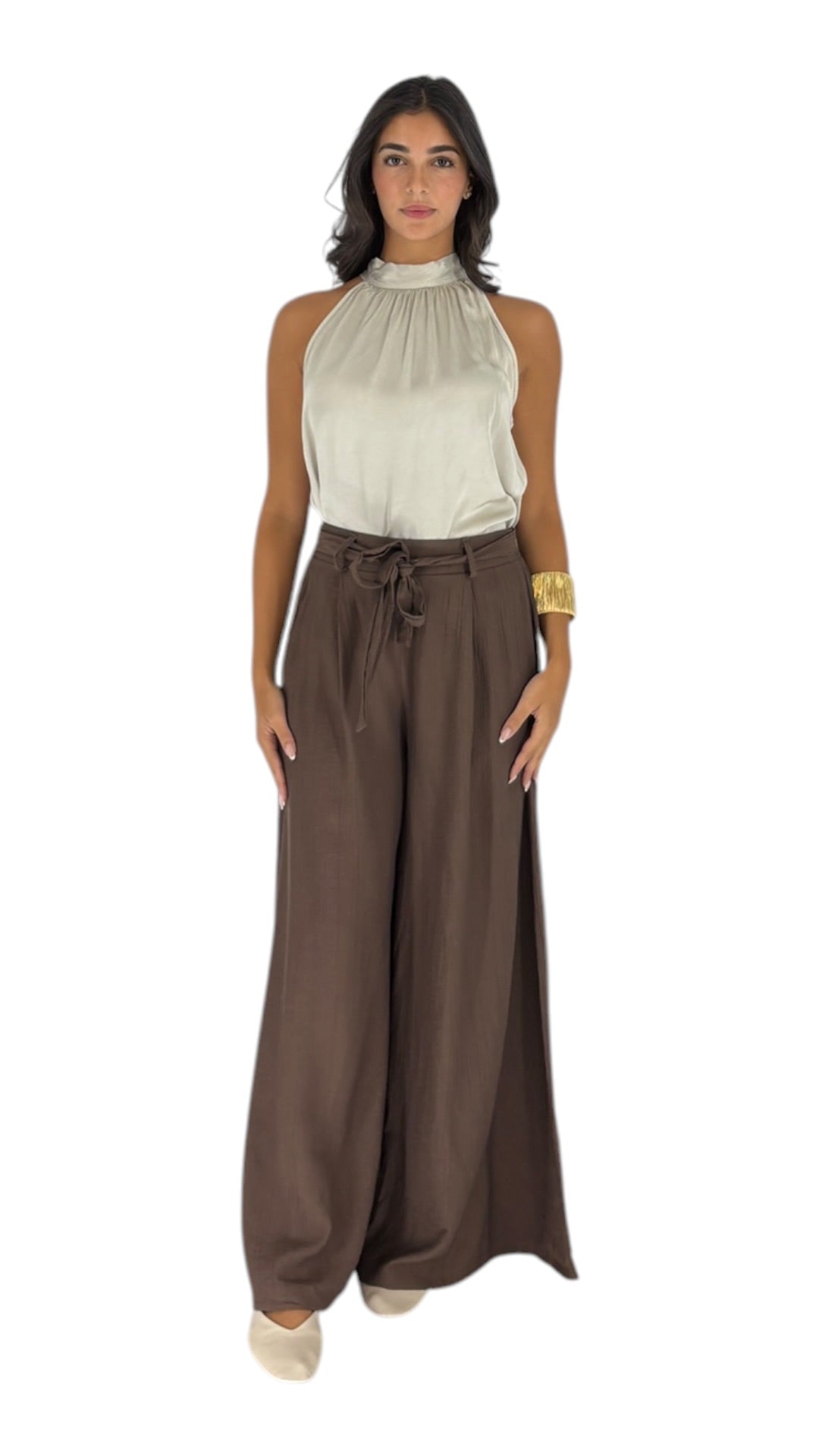 Cina Brown Pants
