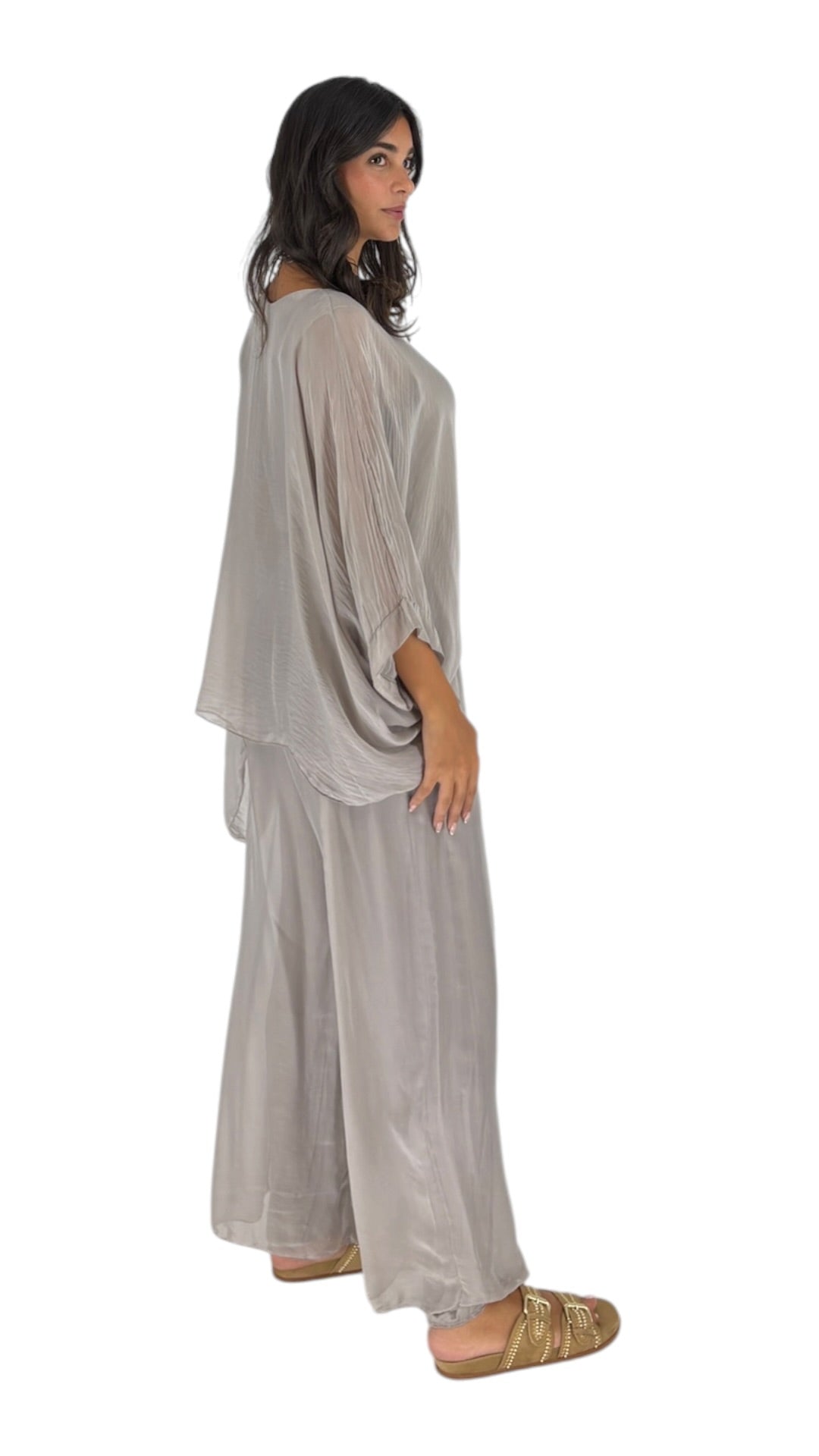 Alyas Taupe Pants