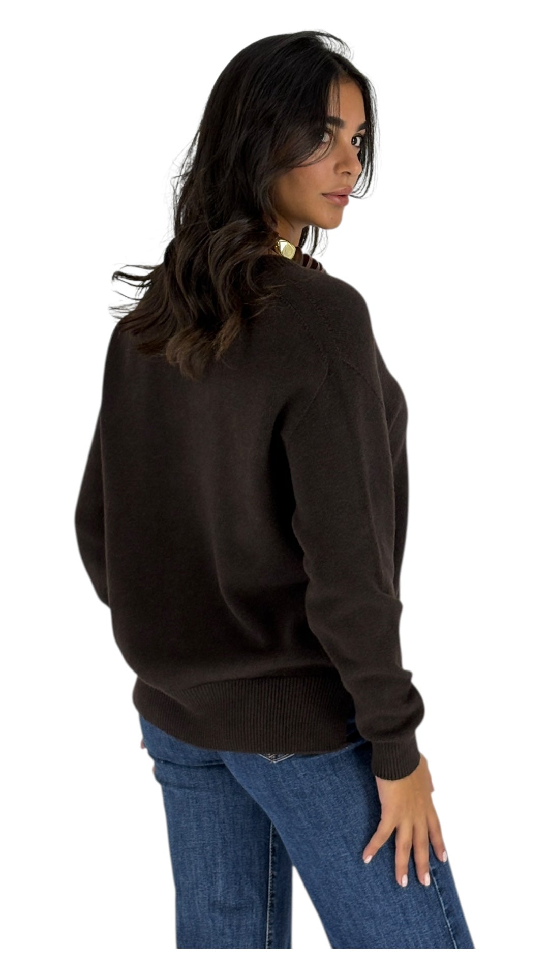 Hayden Brown Sweater