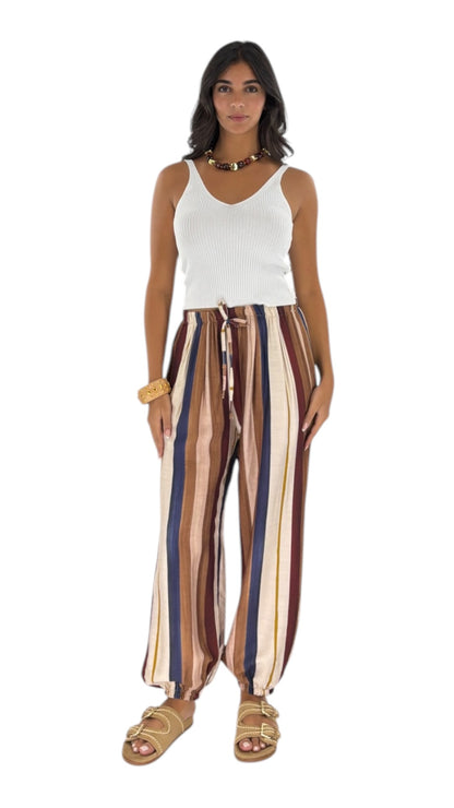 Daria Multicolor Navy Pants