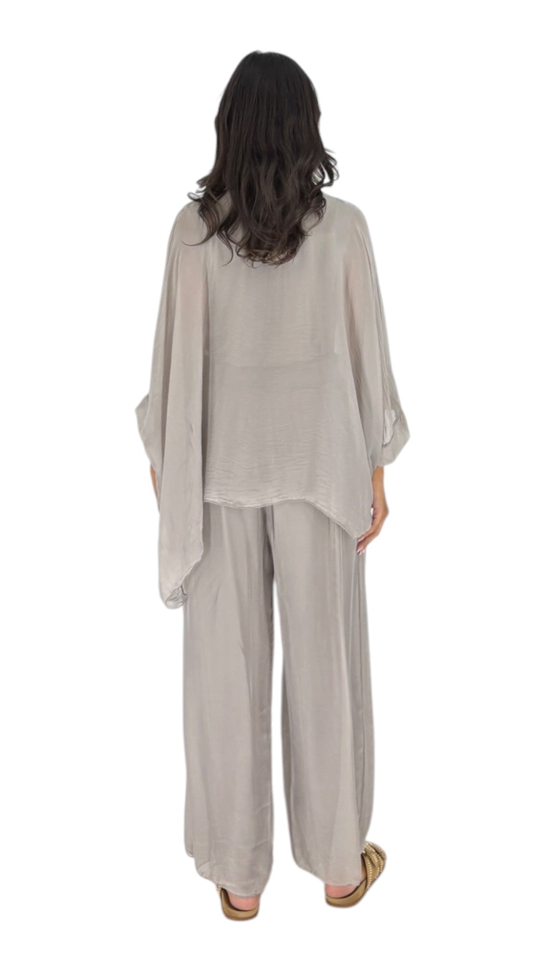 Alyas Taupe Pants