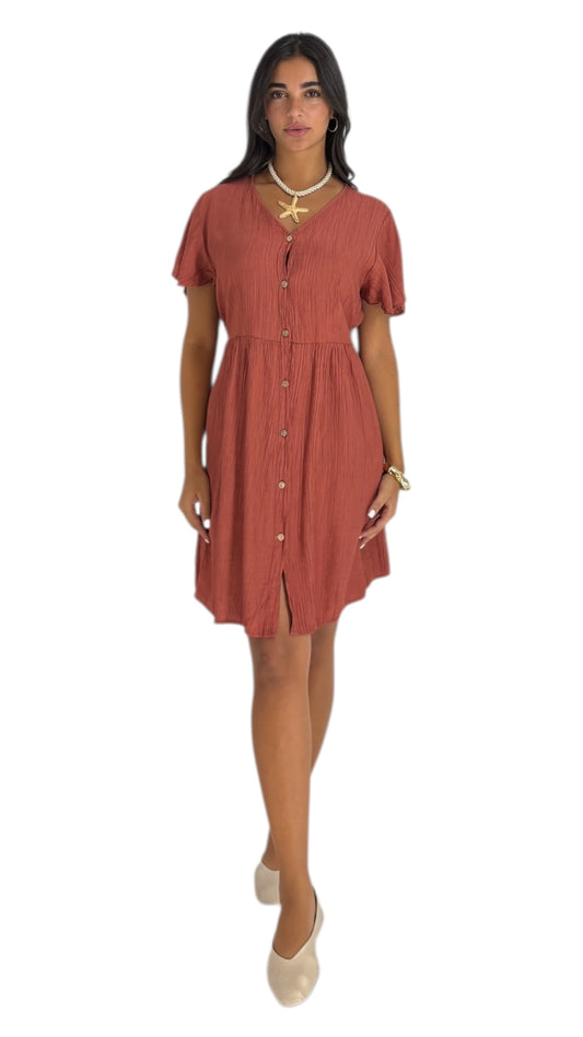 Karla Brick Dress